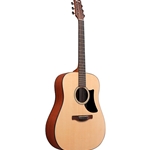 IBANEZ  Ibanez AAD50LG Acou Guitar