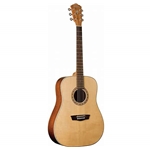 WASHBURN WD250SW Washburn WD-250SW Acoustic