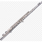 Pearl PF-200RR Student Flute RR