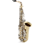 CONN-SELMER  Selmer SAS301 Alto sax