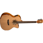 WASHBURN  Washburn WCG66SCE Comfort A/E