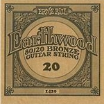 Ernie Ball P01420 EB Bronze .020 Wound Single