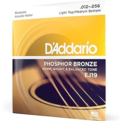 D'Addario EJ19_65562 DADD ACOUS PB BLUEGRS