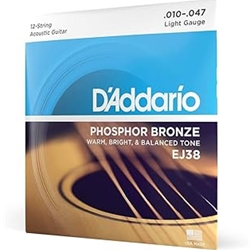 D'Addario EJ38_39896 D'ADDARIO 12-String Light