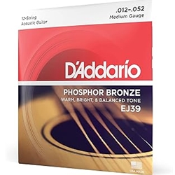 D'Addario EJ39_39897 D'ADDARIO 12-String Medium