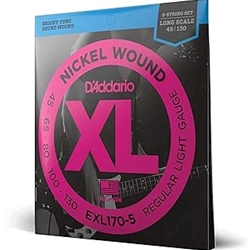D'Addario EXL1705_39837 D'ADDARIO 5 STRING BASS SET