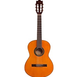 IBANEZ  Ibanez GA2 Classical Gtr