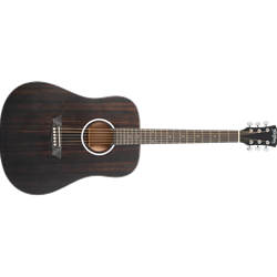 WASHBURN DFED-U Washburn Deep Forest Dreadnaught