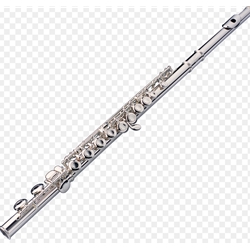 Pearl PF-200RR Student Flute RR