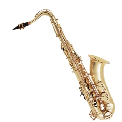 YAMAHA  Yamaha YAS-875EX Alto sax