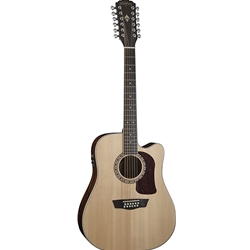 WASHBURN  Washburn D10S12K Guitar