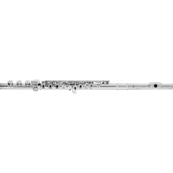 Azumi AZ-Z1RBO Flute