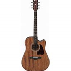 IBANEZ  Ibanez AW54CEOPN Acoustic