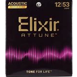 21052 Elixir PB Acoustic Light ATTUNE